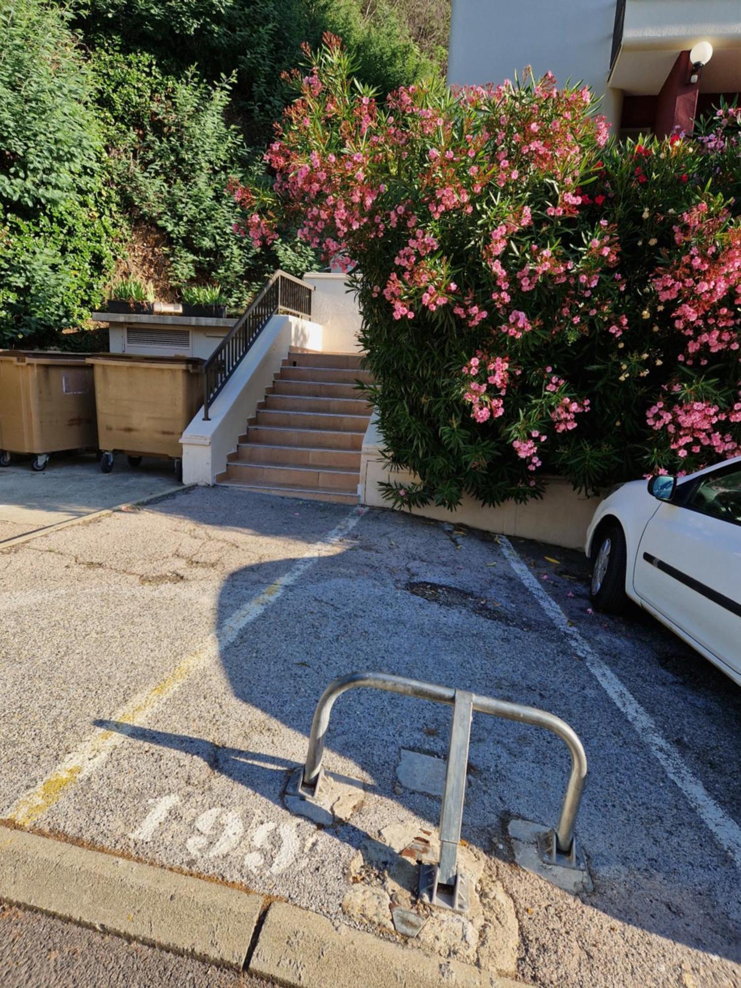 Appartement Amelie Les Bains Au Pied Des Thermes المظهر الخارجي الصورة